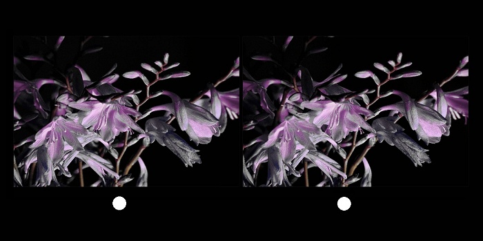 STEREO kytička (cross eye)