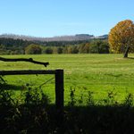 šumava: knížecí pláně