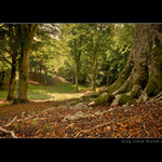 Pozdně letní odpoledne