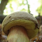 Babuška:-)