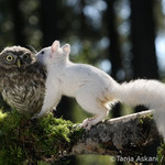 Nikomu to neříkej !