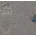 stopa