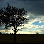 Strom