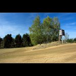 Traktor se musí vyhýbat