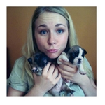 tři stylový buldočci