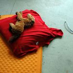 Jak chcete žít bez koní?