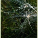 Čekání na přesun