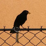 Kde jsou ty klíče?