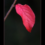 leto, tak tady uz jsi skoncilo !!!