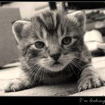 ... straight into your eyes