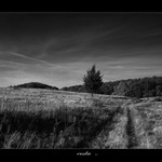 z toulek po slovensku ........