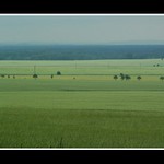 Topit se v zeleni...