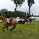 Dostih (Koně v akci 07)