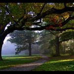 Barevné podzimní ráno II