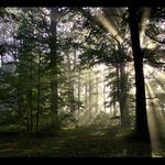 Barevné podzimní ráno