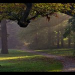 Barevné podzimní ráno III