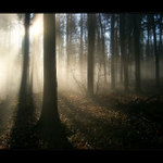 mlha stokrát jinak 017