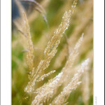 Podzim přichází...