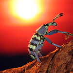 konec rozpáleného dne