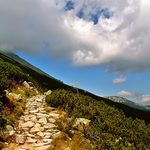 Vysoké Tatry_Cesta ke Skalnatému plesu