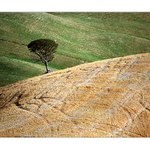 :::  kraj Toskánský 2...  :::