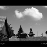 welcome to wallachian kingdom