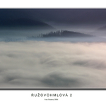 Ružovohmlová 2