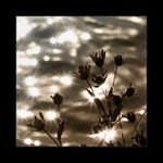 ...když končí den...