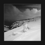 Nad Labským dolem II.