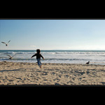 Mit tak opravdova kridla