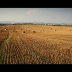 ... za městem II. ...