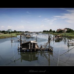 ... Milena Canal ...