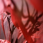 Dechová cvičení v Rudohoří