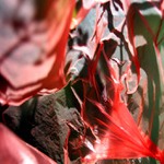 Karkulka zpívá blues