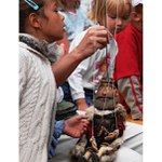 Za devatero horami ....