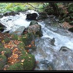 potok od Mojzisovo pramena