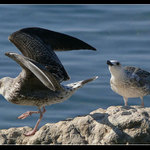 Kde si bol včera večer????