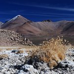 Altiplano