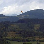 U nás doma za bukem - 2