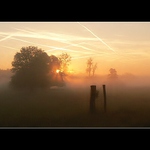 Podzimní probouzení II