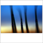 prírodné komíny III...