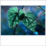 niečo spoločné...