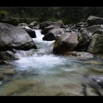 Tatranská bystřina