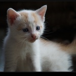 Co to na mně hraješ?