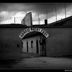 Terezín 4