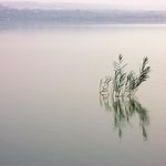 Ráno na Mušovském jezeře