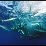 Takový divný pocit