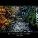 THE BEAUTIFUL PLACES II