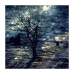 *** Mému Malému princi ***