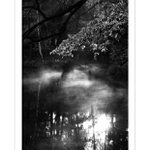 *** Za ranního rozbřesku ***